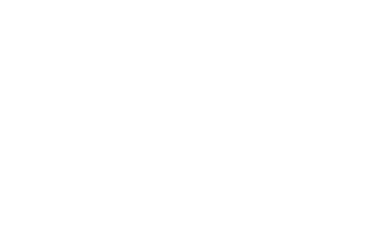 WISE_LOGOTYP_NEG